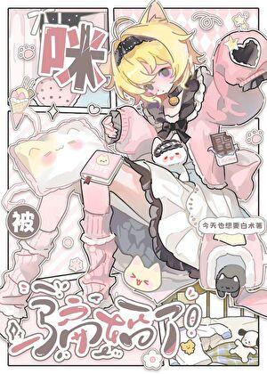 咪被骗婚了！