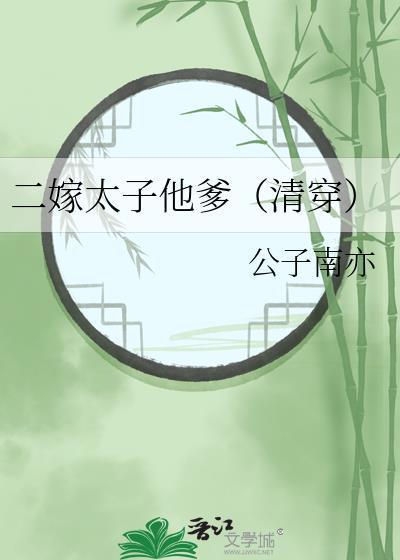 二嫁太子他爹（清穿）
